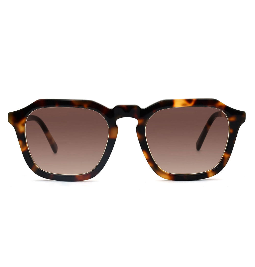 #color_Hazel Tortoiseshell