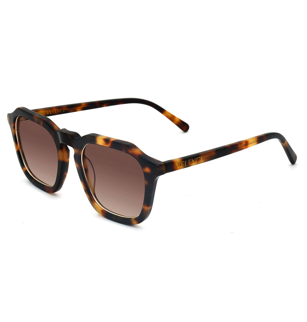 #color_Hazel Tortoiseshell