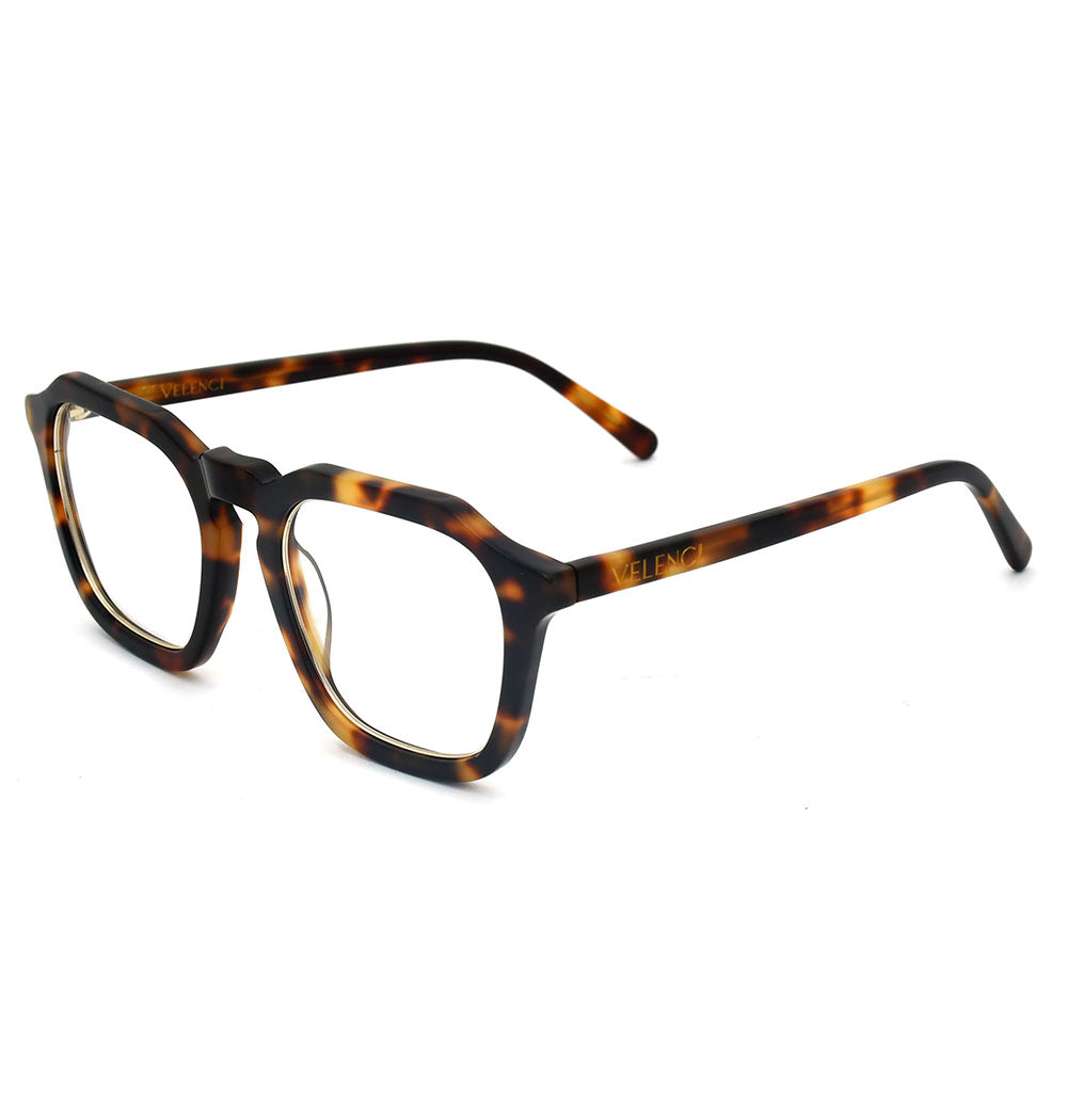 #color_Hazel Tortoiseshell