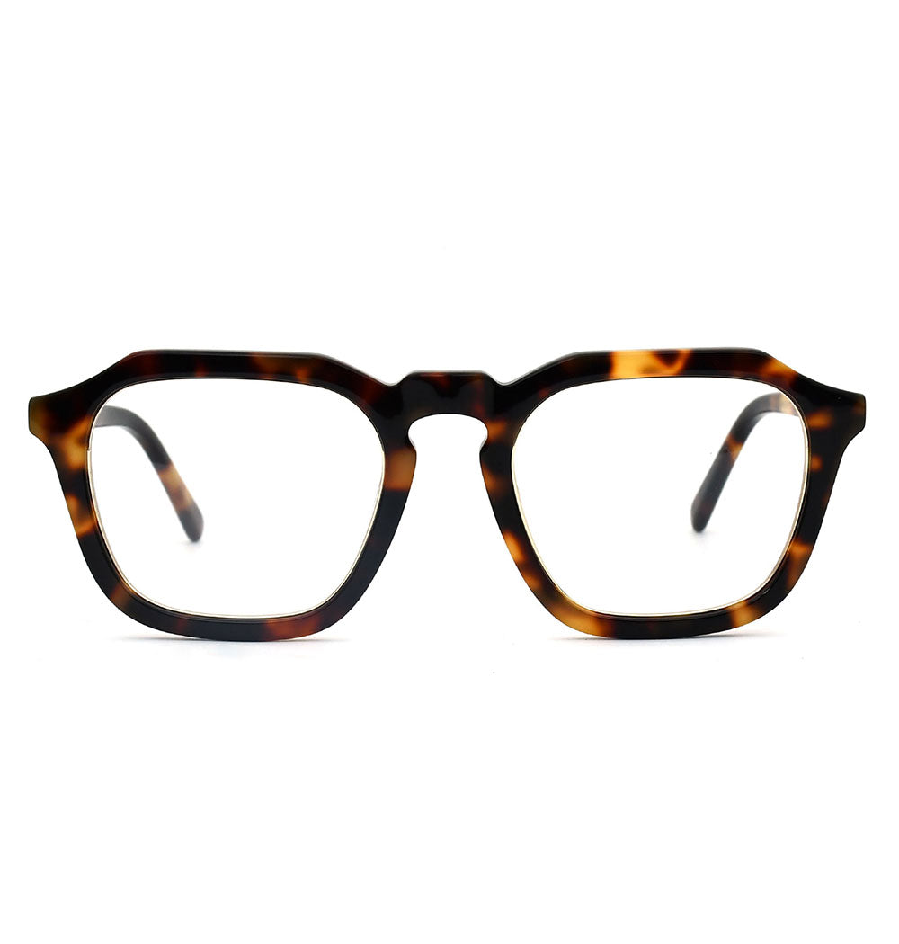 #color_Hazel Tortoiseshell