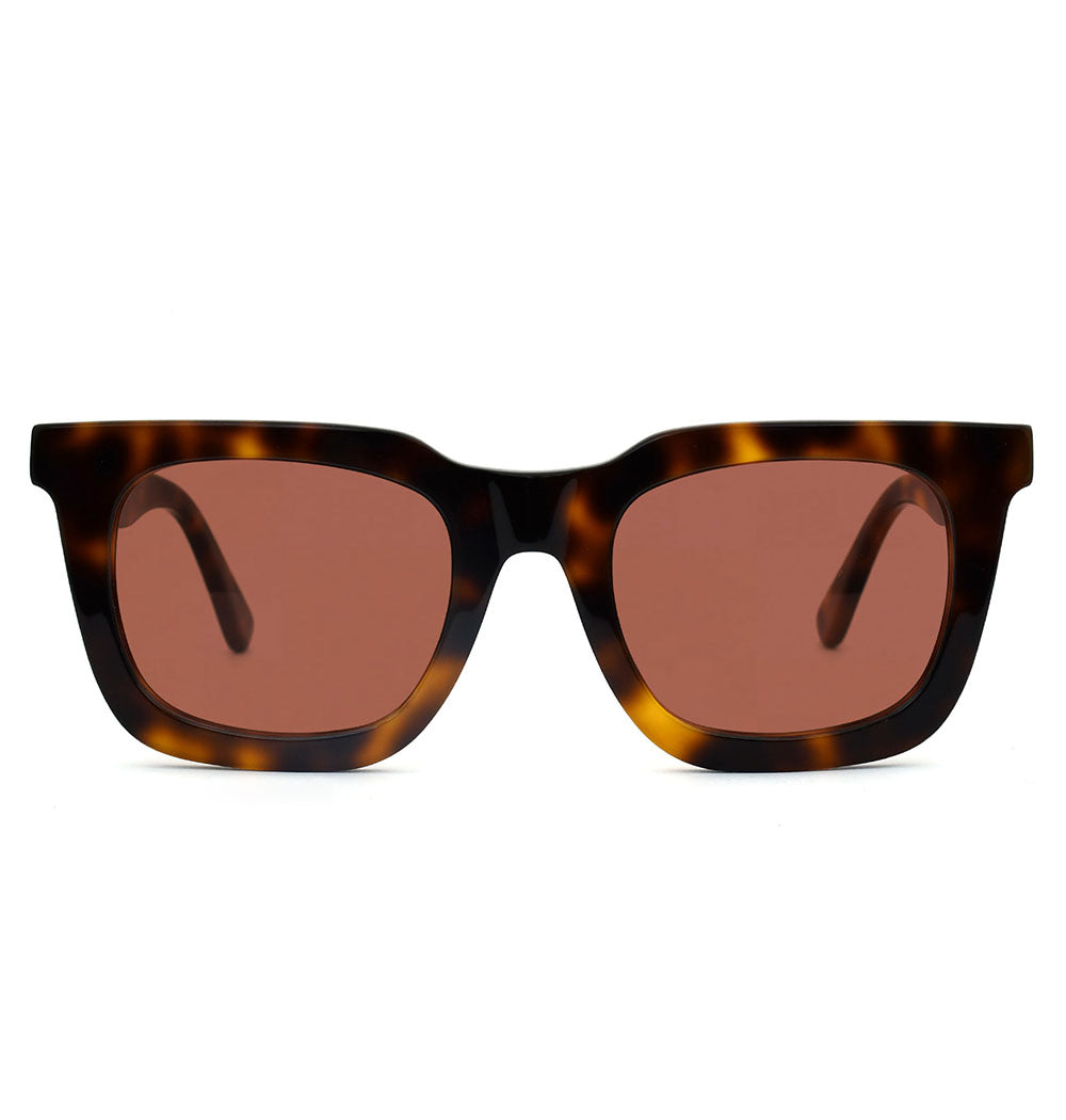 #color_Chestnut Tortoiseshell